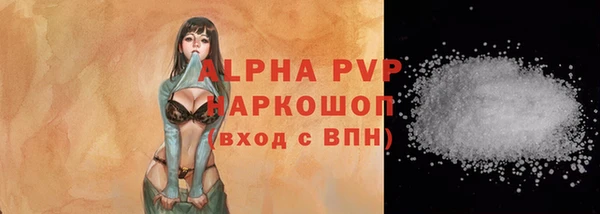 гидра Магас