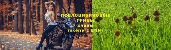 каннабис Магадан