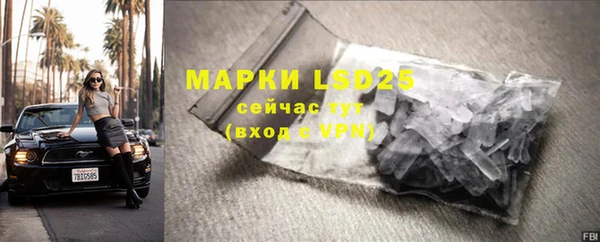 гидра Магас